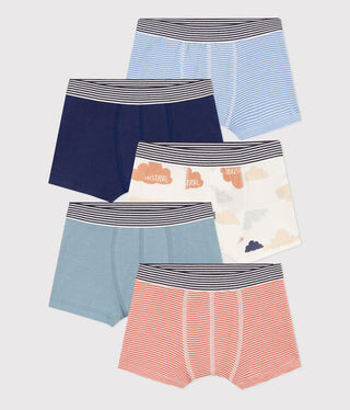 Boys' Cloud Patterned Cotton Boxer Shorts - 5-Pack