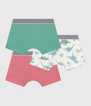 Boy's Dinosaurs Pattern Boxers - 3-Pack