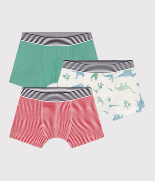 Boy's Dinosaurs Pattern Boxers - 3-Pack