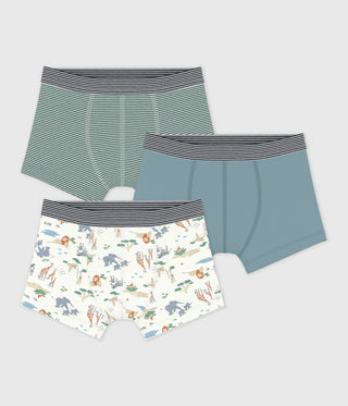 Boy's Savanna Print Cotton Boxers - 3-Pack