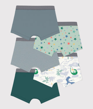 Boys' Printed Cotton Boxers - 5-Pack