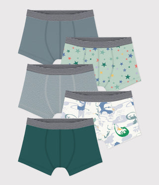 Boys' Printed Cotton Boxers - 5-Pack