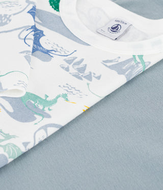 Children's Long-Sleeved Dragon Print Cotton T-Shirts - 2-Pack