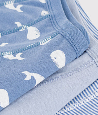 Boys' Whale-Print Cotton Boxers with Covered Waistbands - 3-Pack
