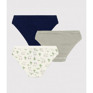 Boys' Cotton Dromedary Patterned Briefs - 3-Pack