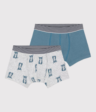 Boys' Dog Patterned Cotton Boxer Shorts - 2-Pack